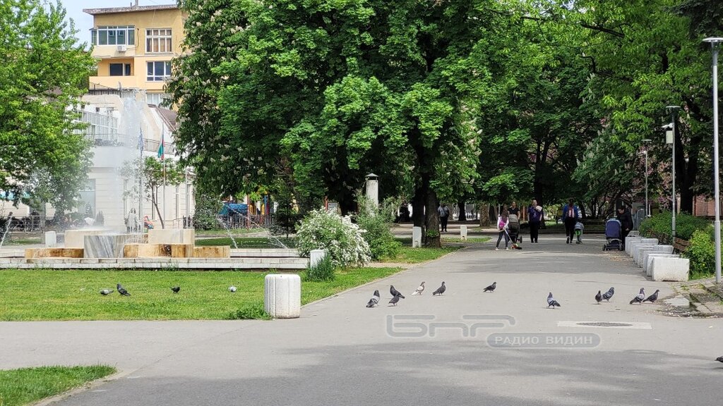 Последна обработка срещу комари ще се извърши в Монтана