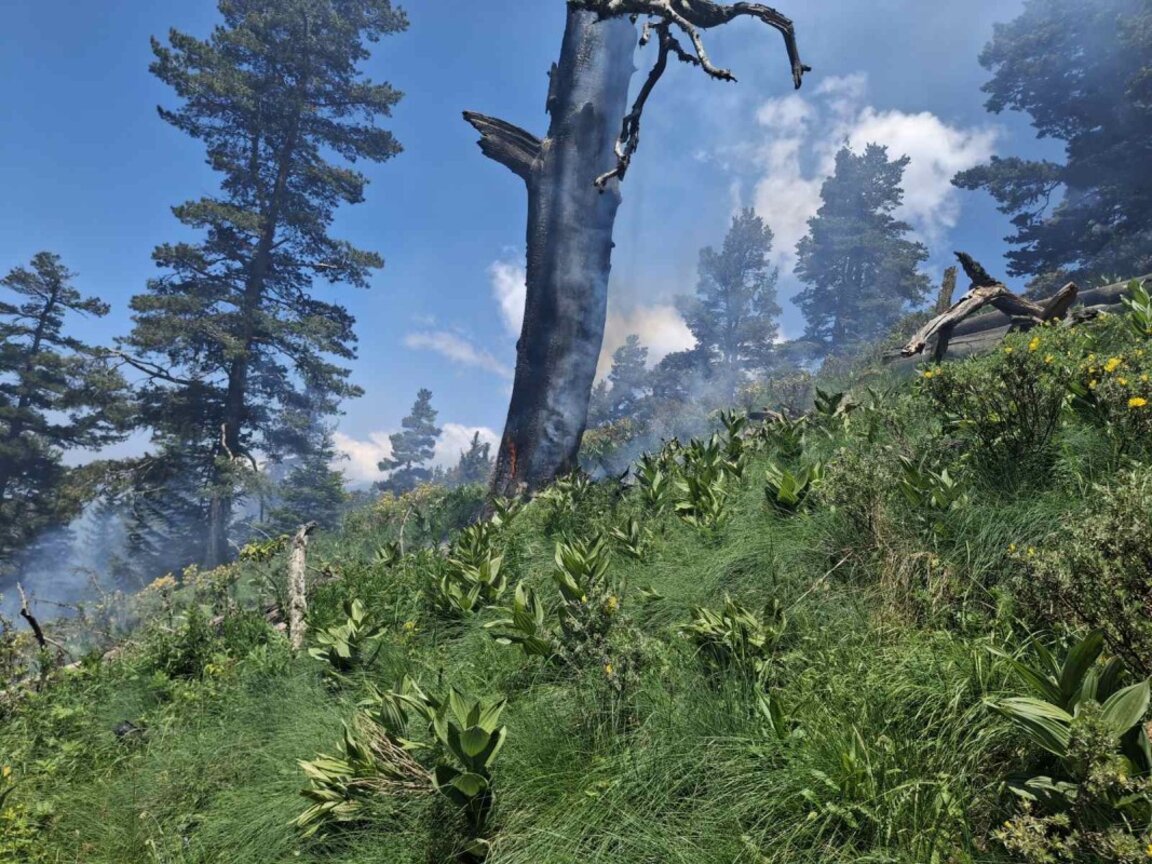 Няма опасност за Рилския манастир заради пожара, който гори в местността Каменица