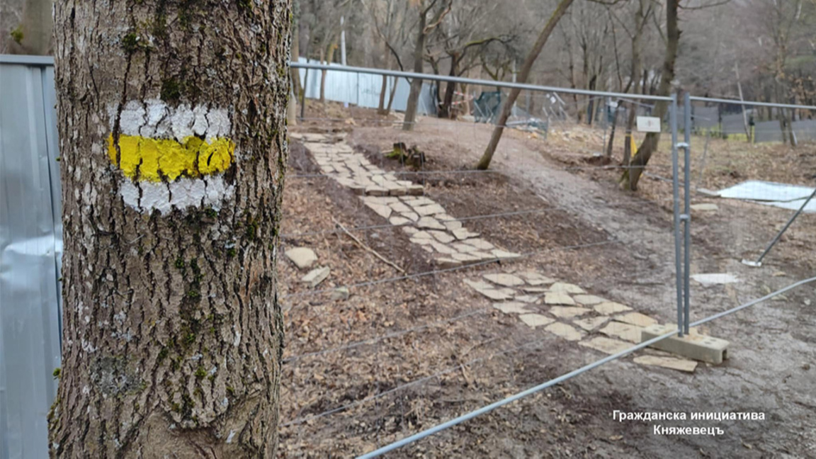 Заграденият терен с алеите