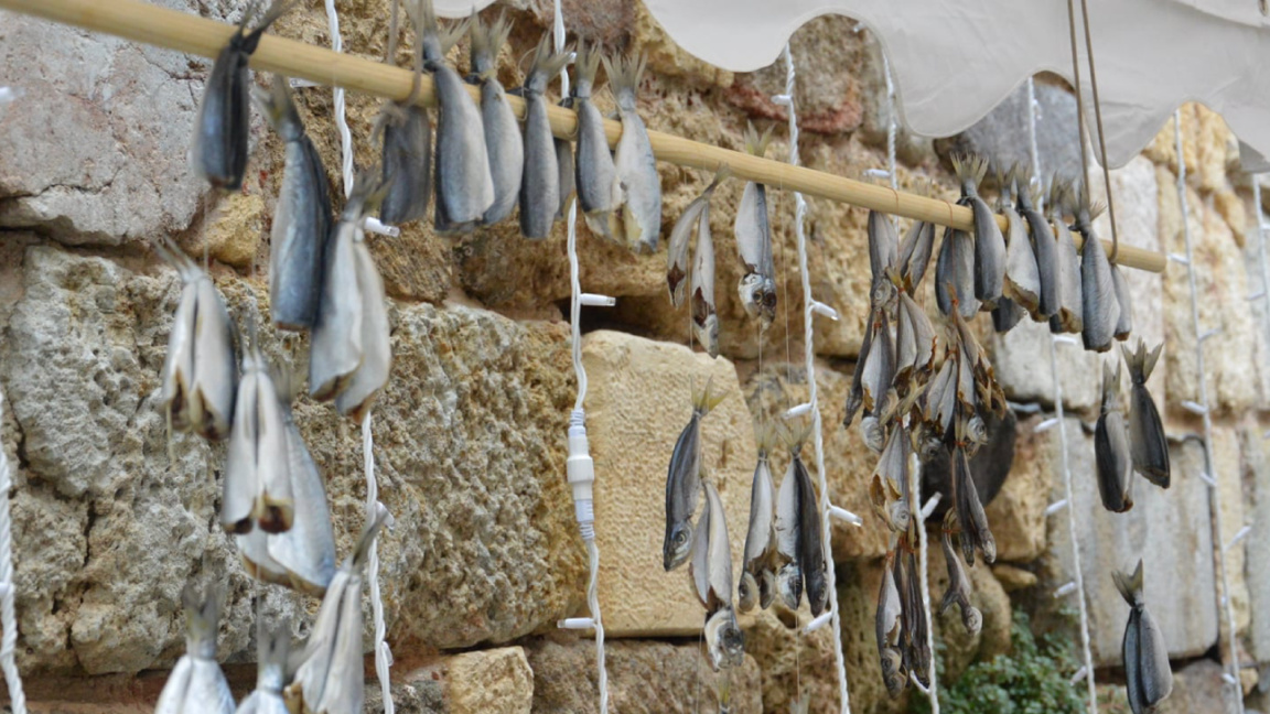 Fiesta del pescado salado: tradiciones culinarias y estrellas en Sozopol