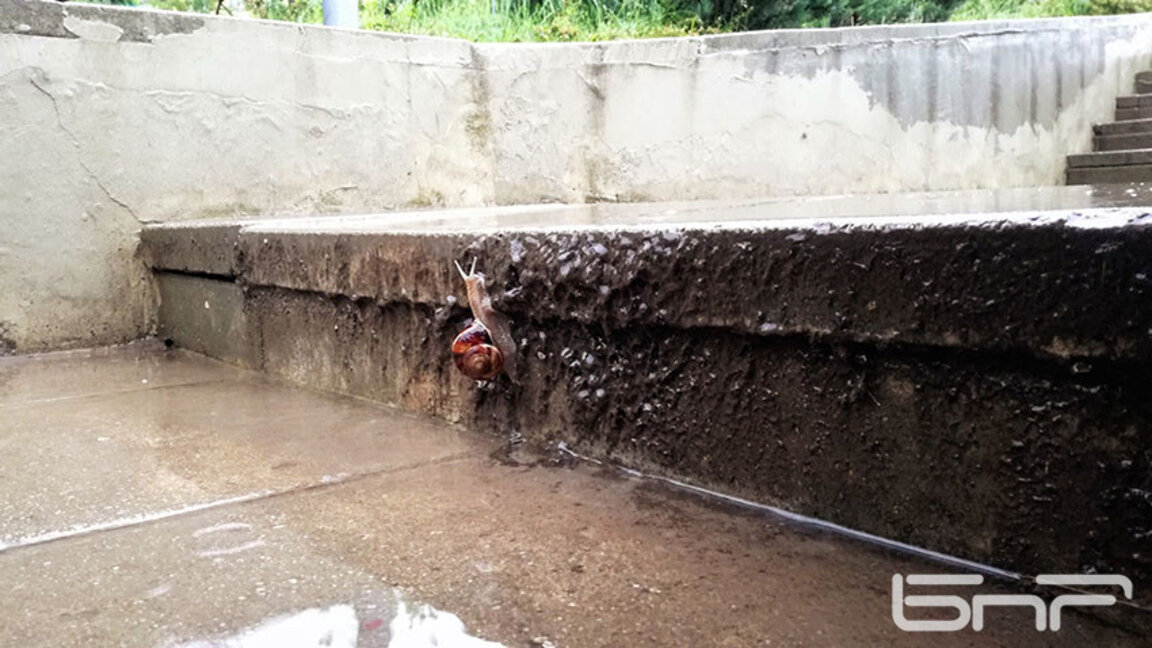 Жълт и оранжев код за опасни валежи в 19 области на Централна и Източна България