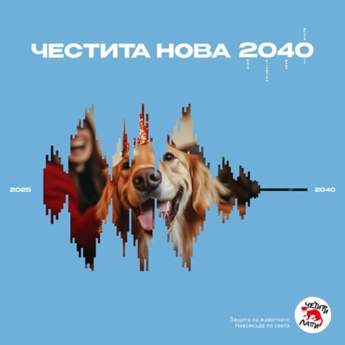 Пиротехниката като символ на тревожност и паника за четириногите