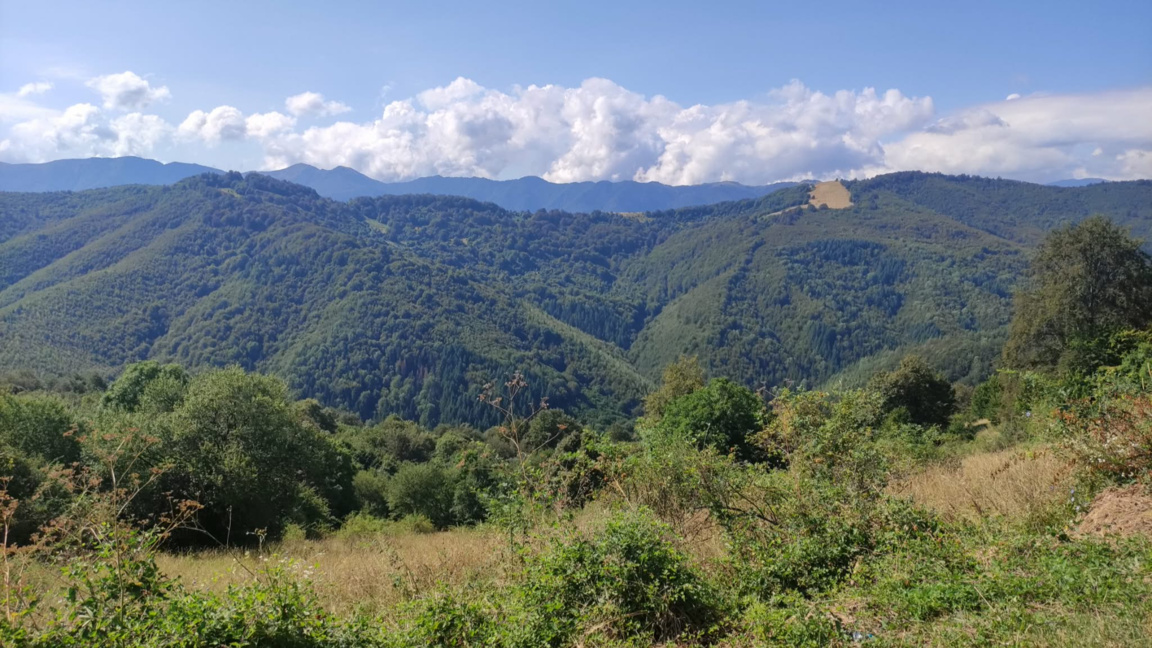Времето в понеделник