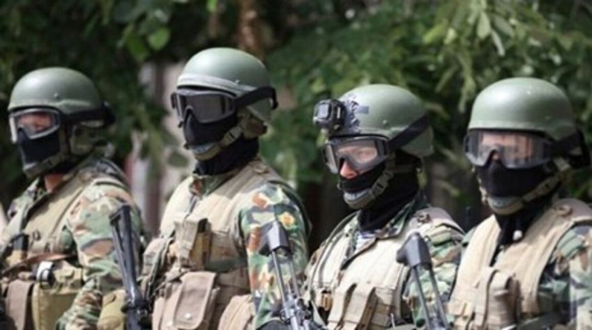 El número de búlgaros dispuestos a combatir por su patria aumentó en un 5%
