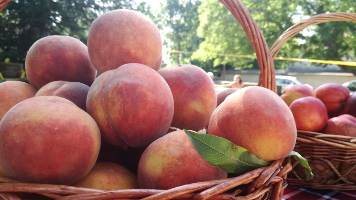 Кошници с плодове