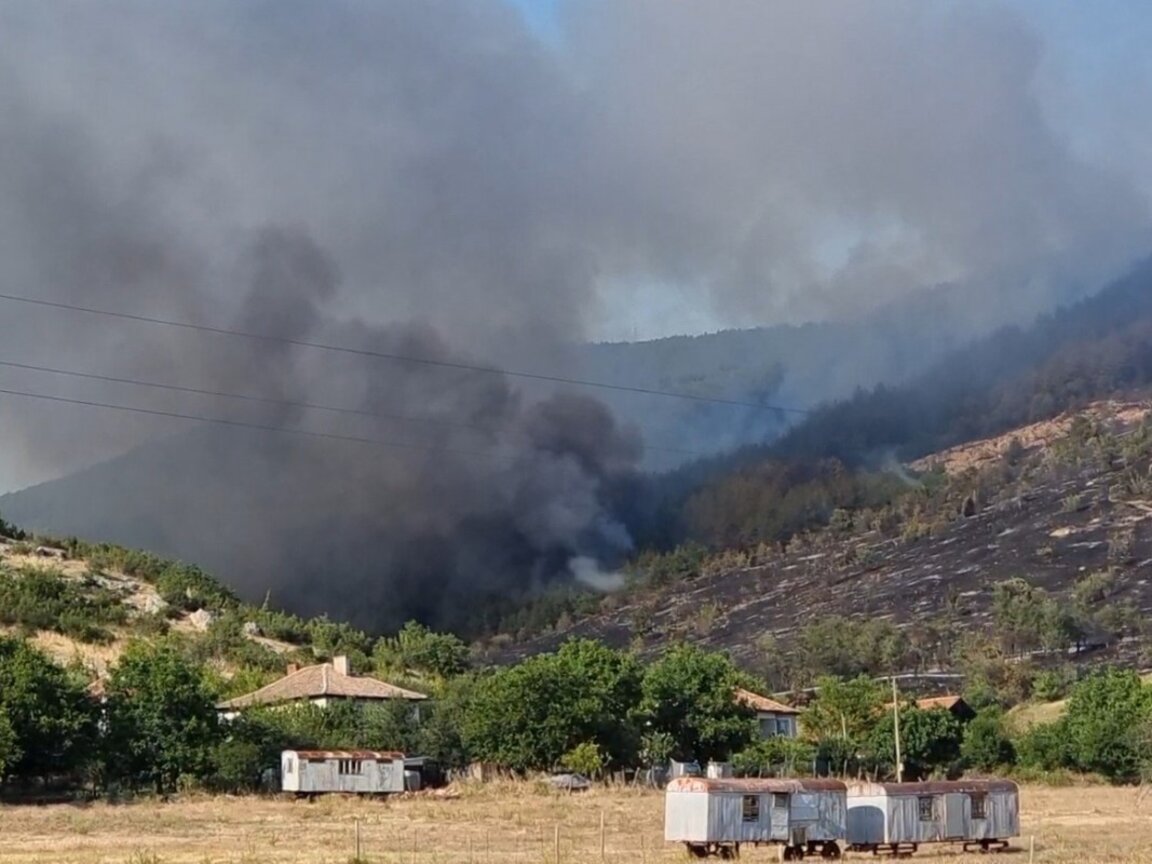 Променлив вятър пречи на локализирането на пожара край кърджалийското село Звезделина