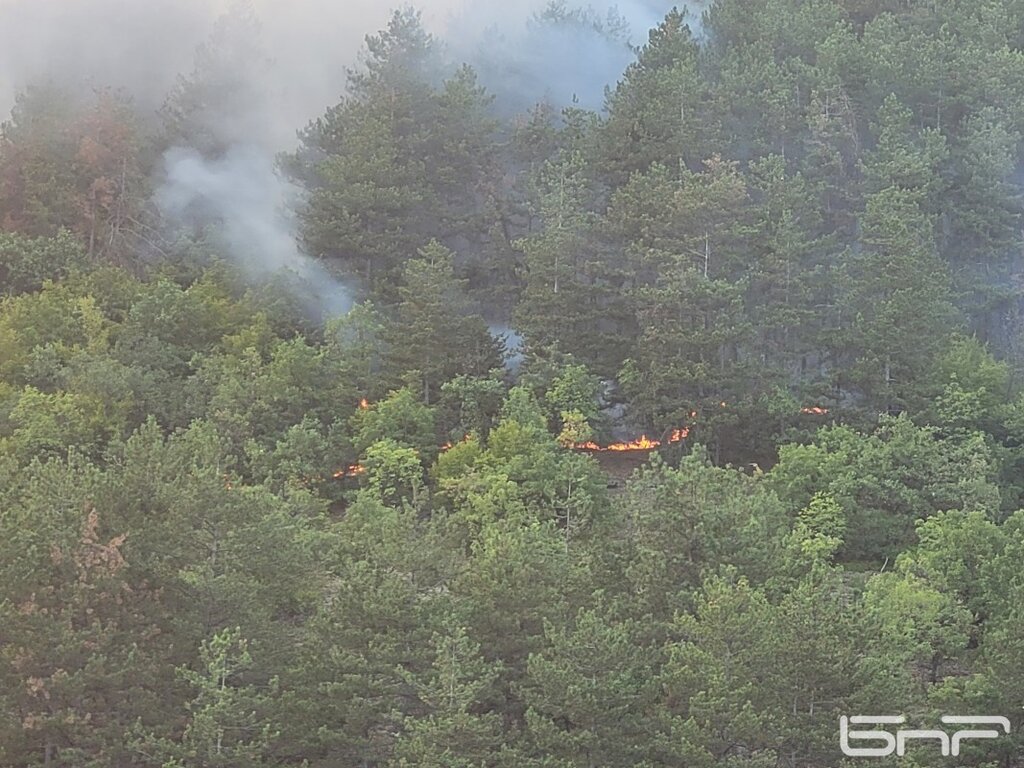 Пожарът край село Дъждовница е овладян, няма опасност за населението