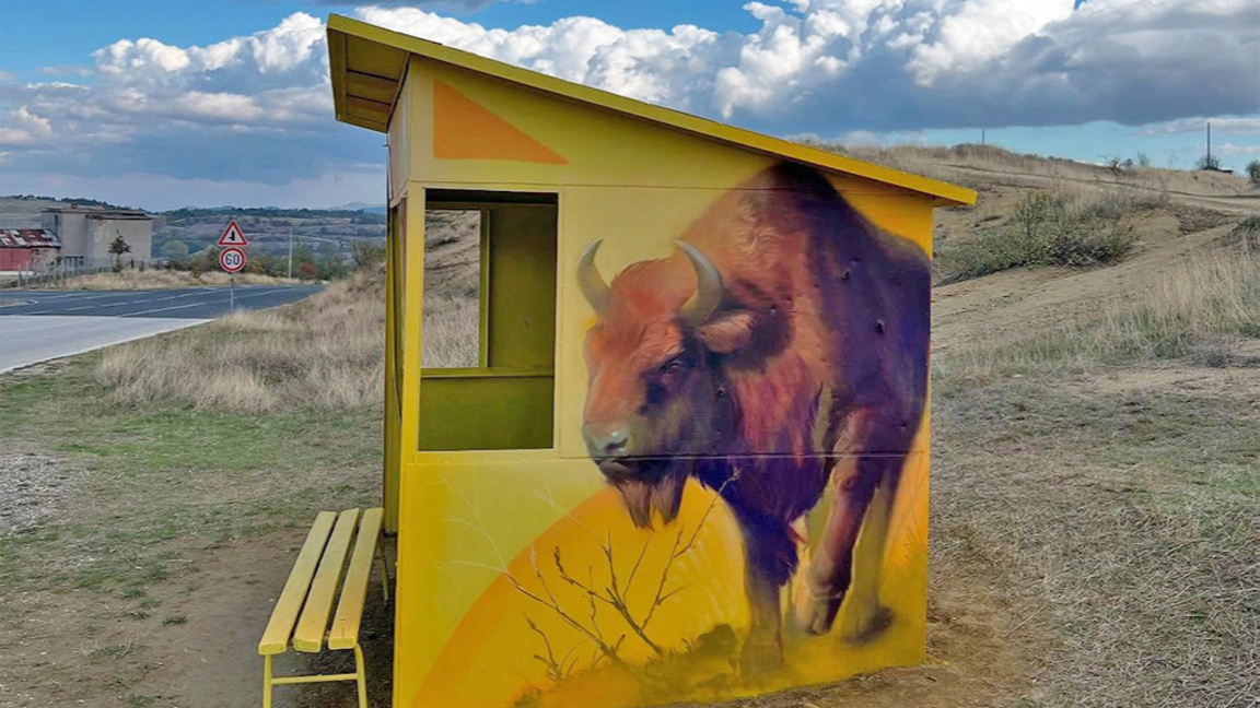 Piktura në stacione autobusi na kujtojnë të mos humbasim lidhjen me botën e egër