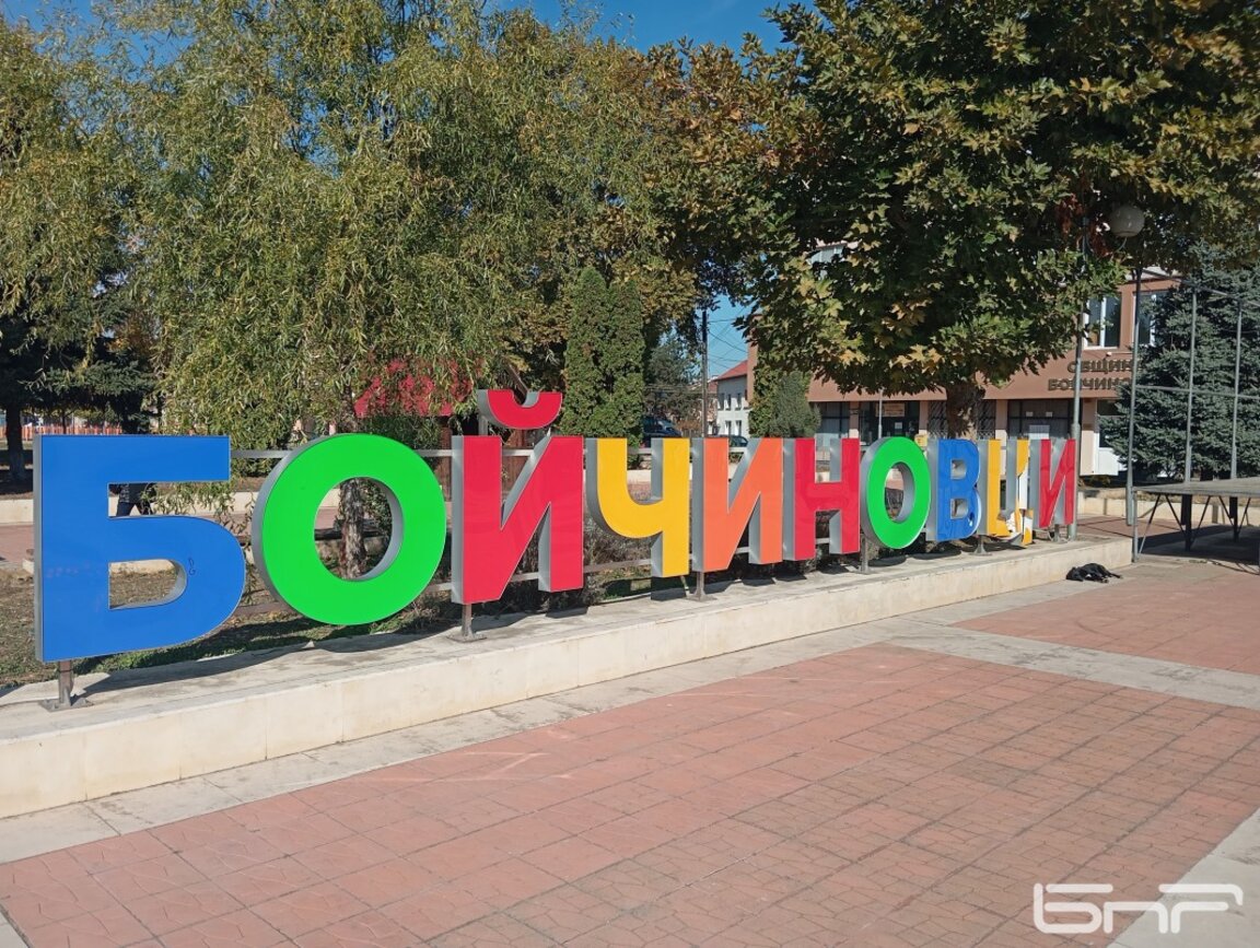 Таня Петрова ще изпълнява временно длъжността кмет на община Бойчиновци