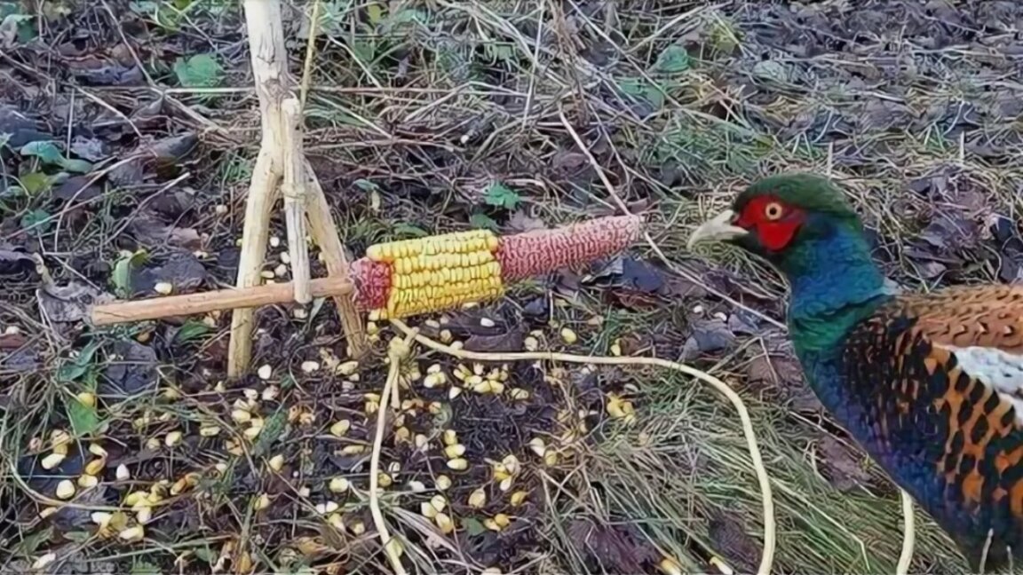 Напрегнати дни за някои радиоводещи