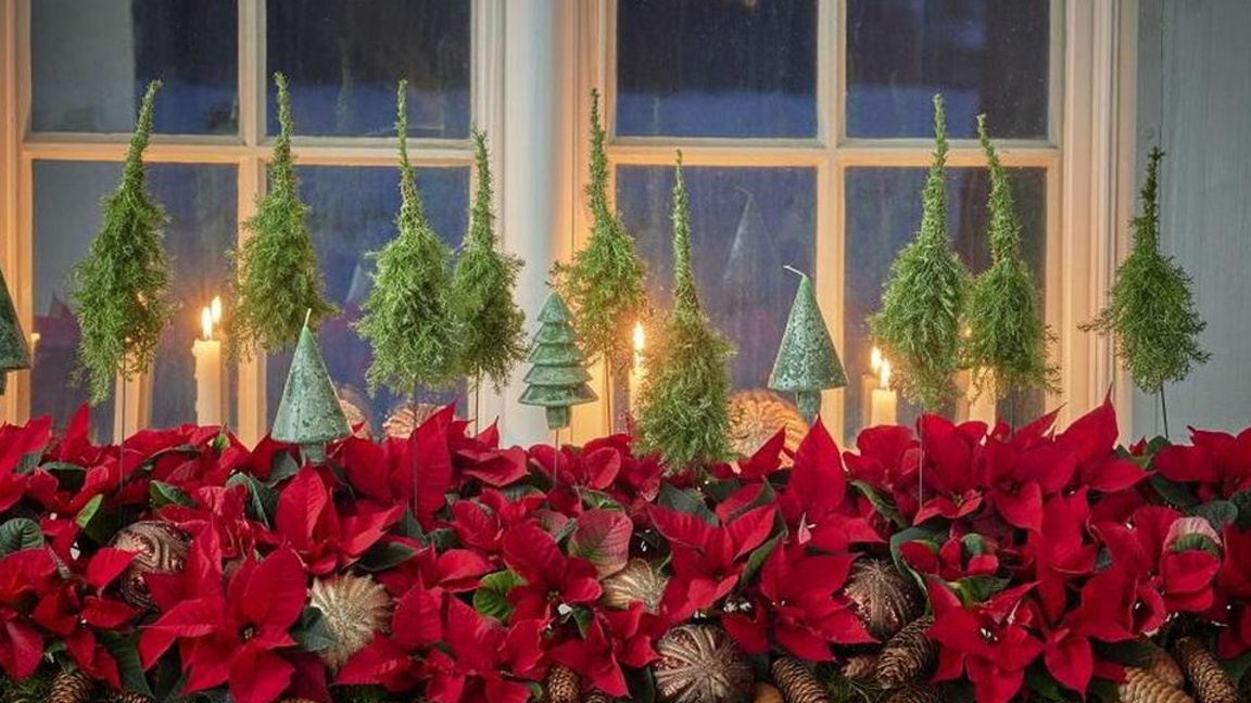 Коледен благотворителен базар на фондация "Майки за донорство"