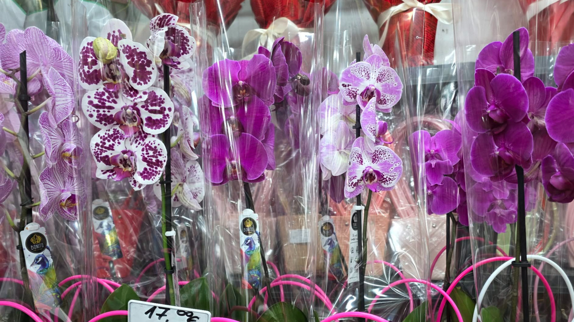 Цветя за празника