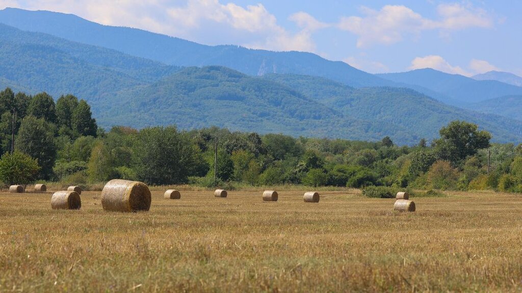 Wetteraussichten für das Wochenende