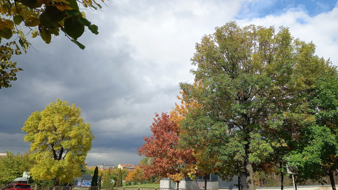 Rain to gradually ease, temperatures to reach 17°C