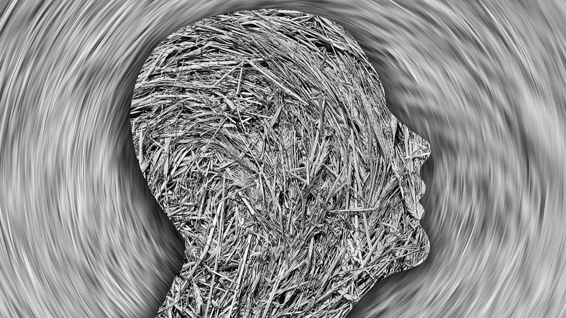 Бележки върху глупостта