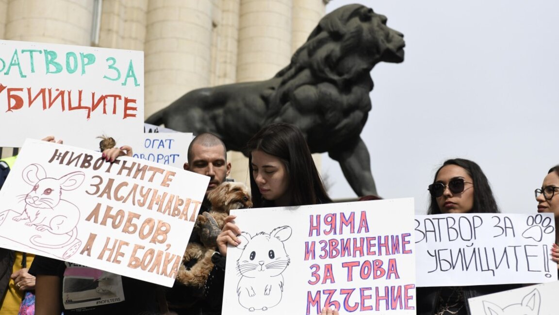 На 23.03.2025 г. в София отново имаше протест във връзка с насилието над животни.
