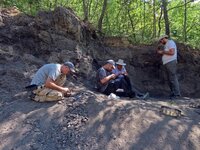 Учени откриха останки от динозаври край Трън