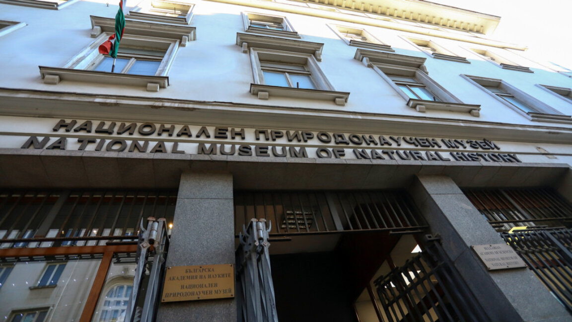 Muzeu Kombëtar i Historisë Natyrore prezanton modelin 3D të shpendit Dodo në Natën e Shkencëtarëve