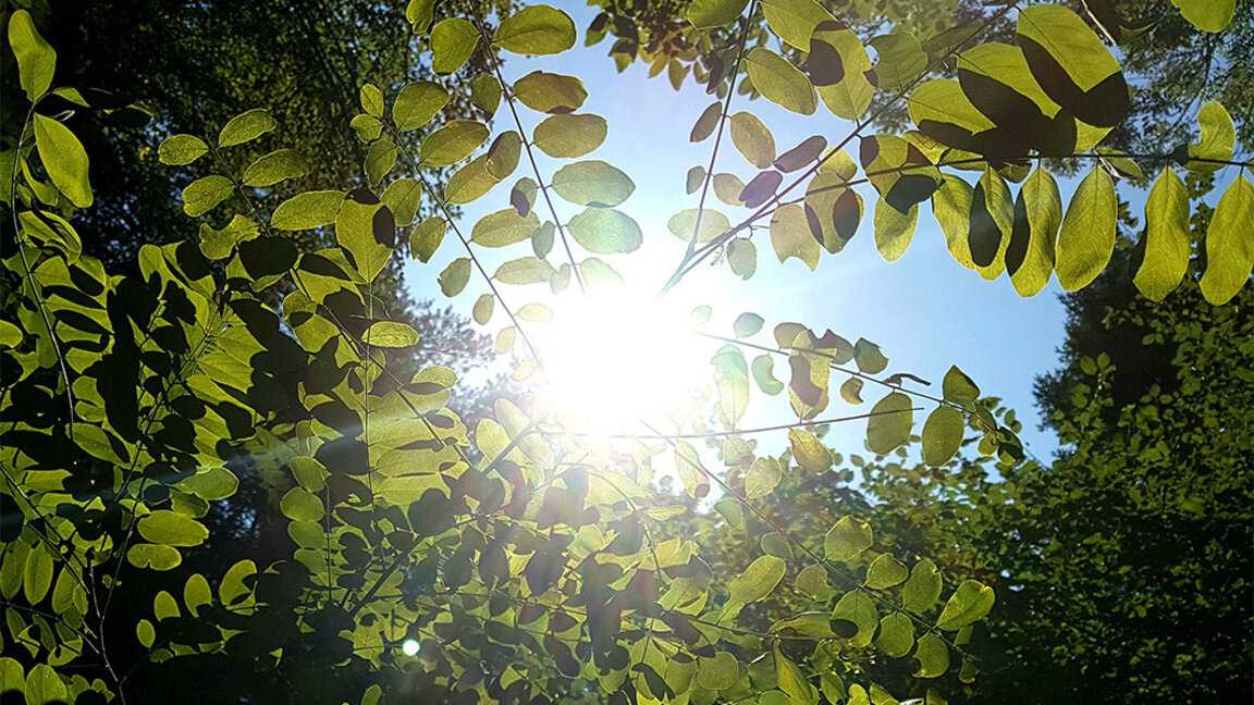 Очакват ни максимални температури до 36 градуса