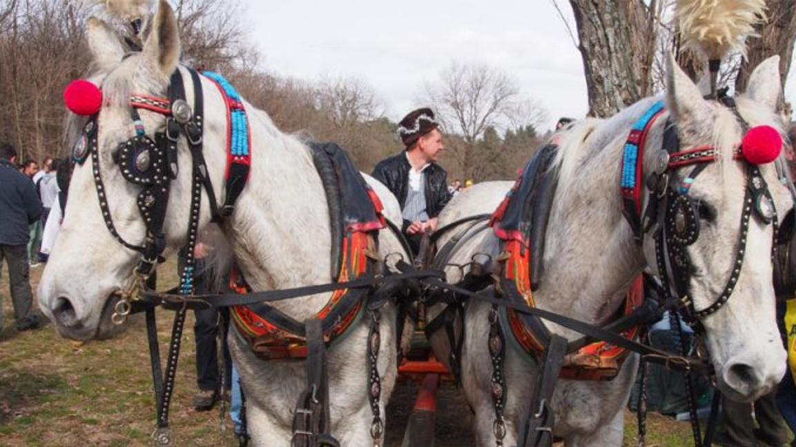 „Јунак Тодор коња поткива…“...