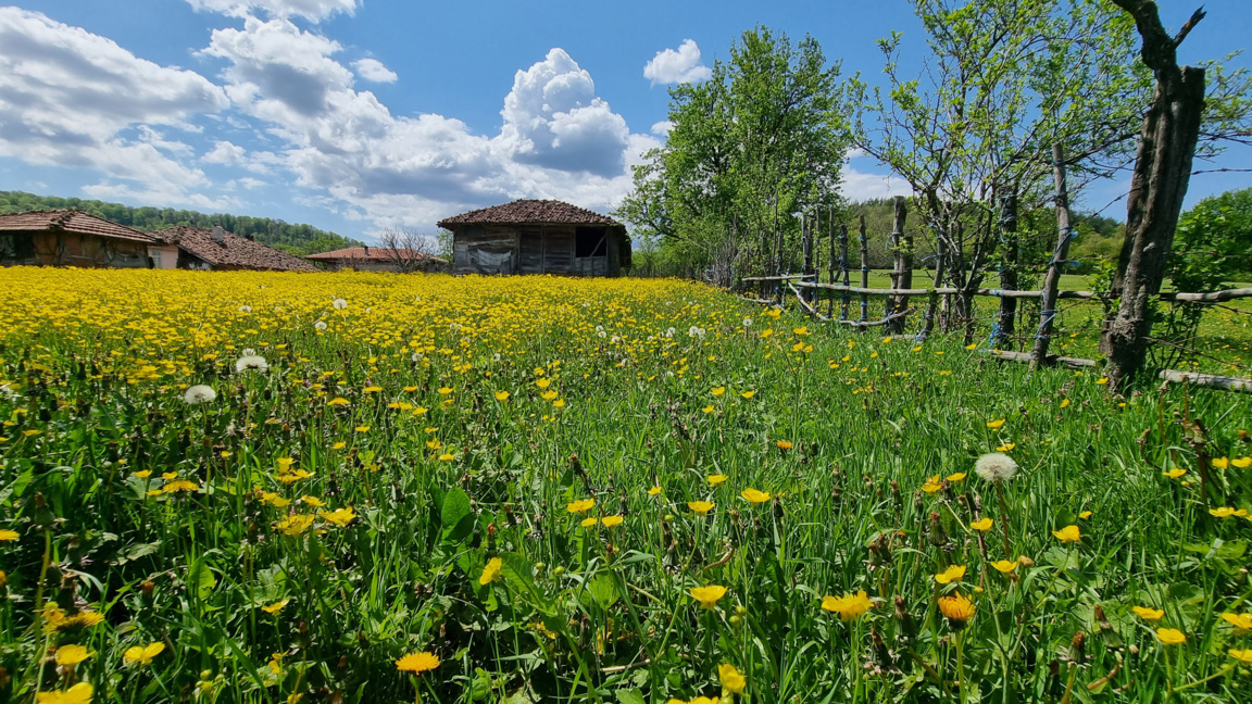 Светлата седмица идва със слънчево време и макс. температури 13°-18°
