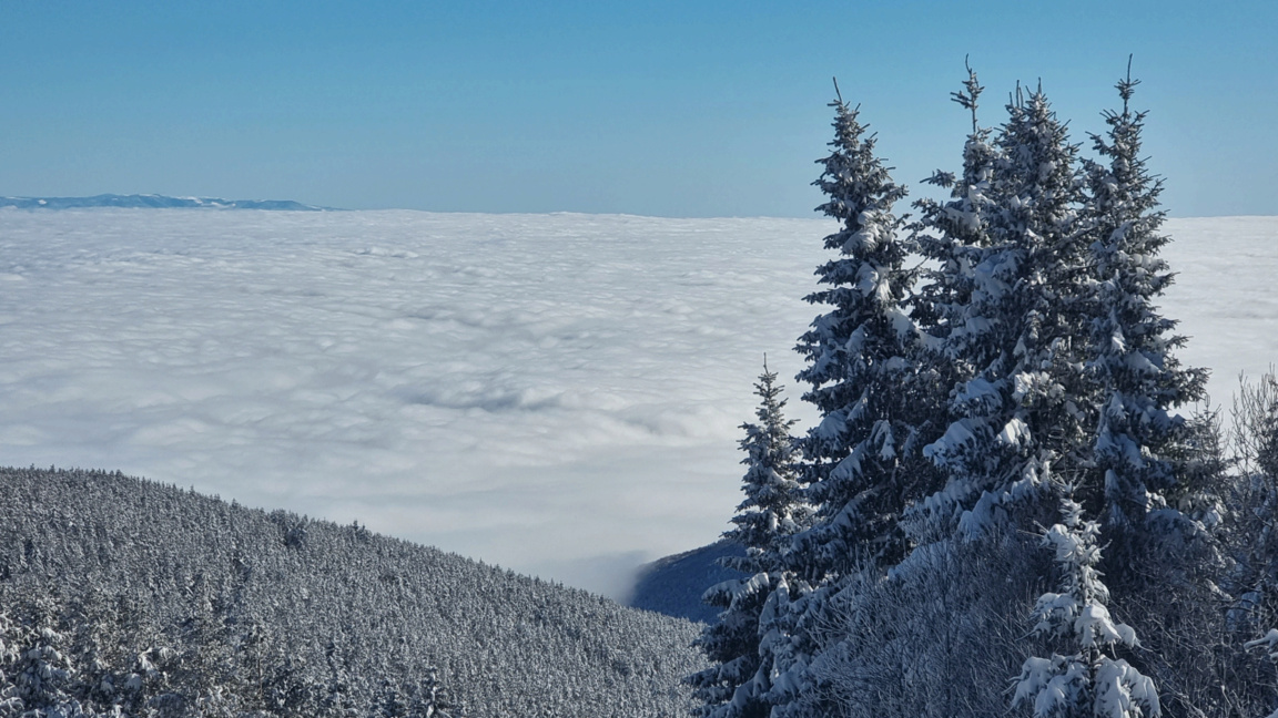 Временска прогноза за четвртак, 15. јануар