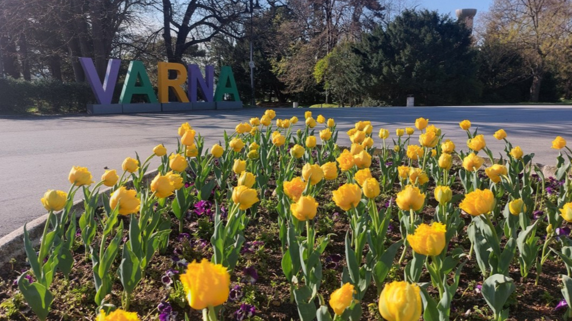 Варна