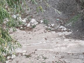 По следите на изчезналата река Сазлийка край село Ракитница