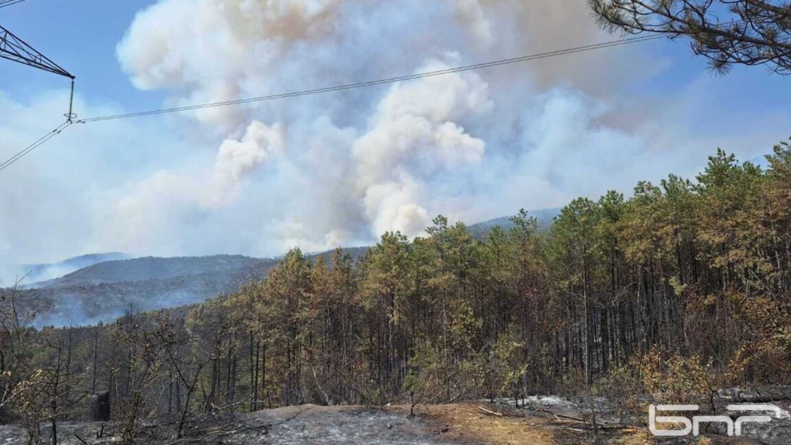 Пожарът в Пирин превзе над 6000 декара, но не застрашава населените места