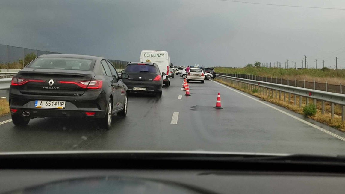 синимката е илюстративна