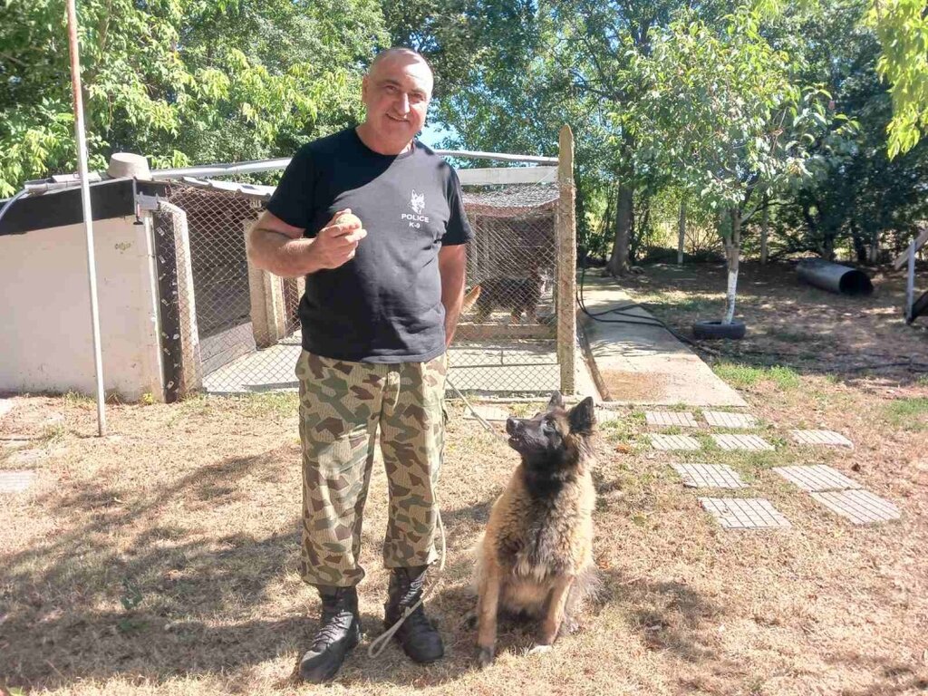 Комисари на четири лапи