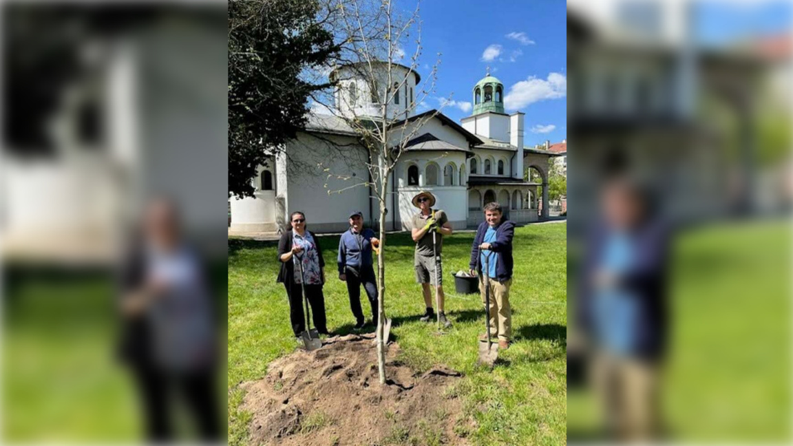 Българите в Унгария засадиха три дървета - символи на работа, просвета и вяра