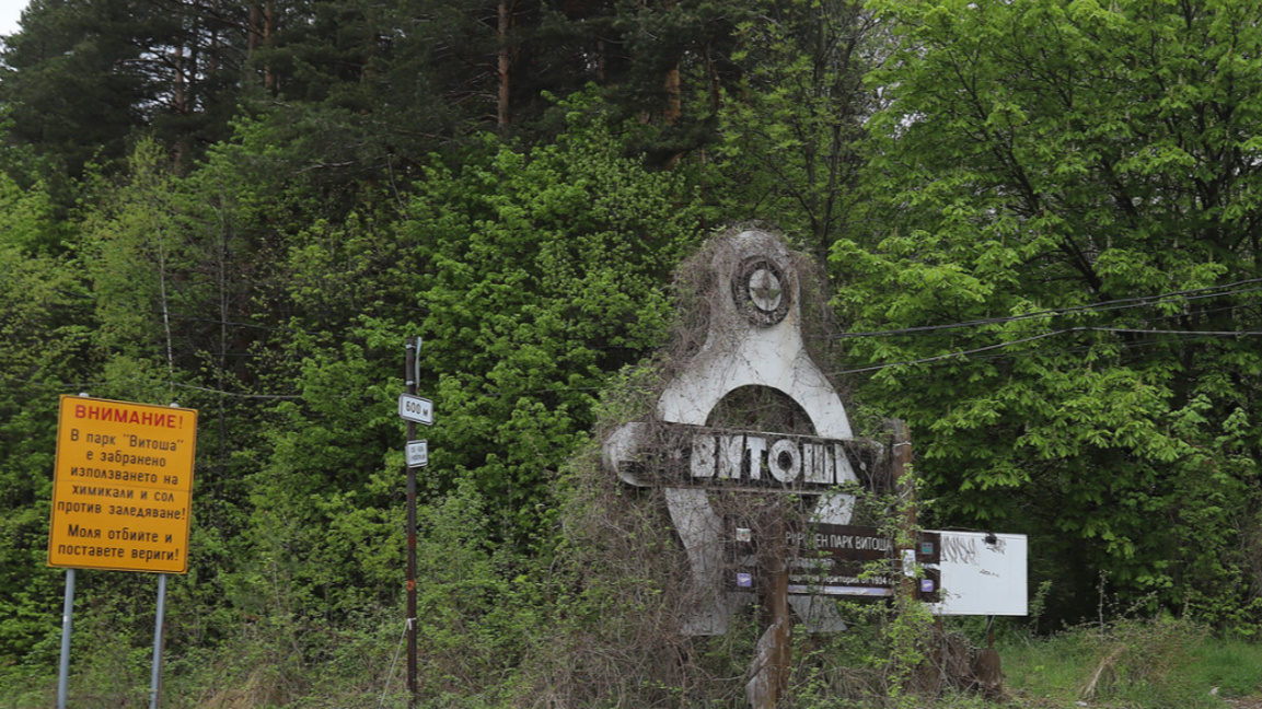 Над 40 доброволци почистваха автомобилния път над кв. "Бояна" на Витоша