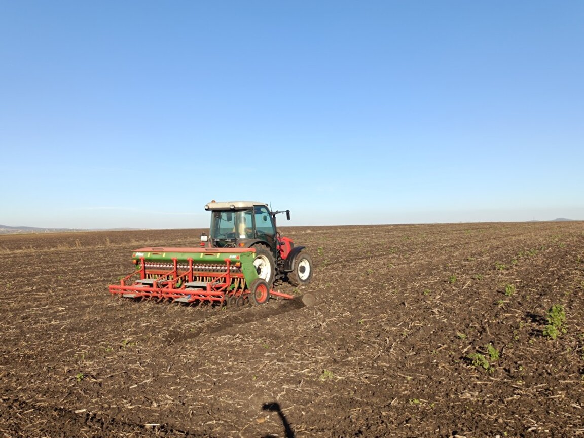 СНИМКА: сеитба на есенни култури