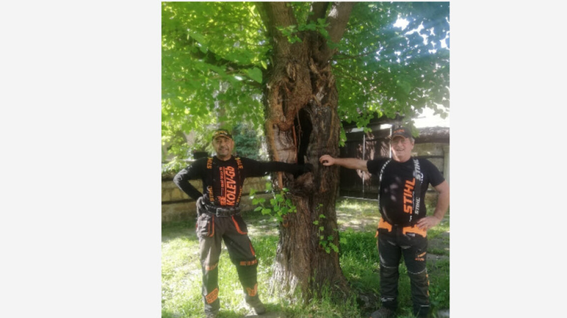 Meșteșugarii din Vrața sculptează o capelă într-un molid