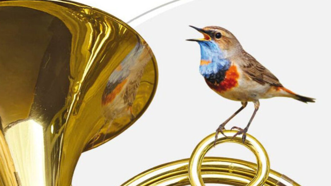 Acentos del programa del Festival Musical Europeo en Sofía 