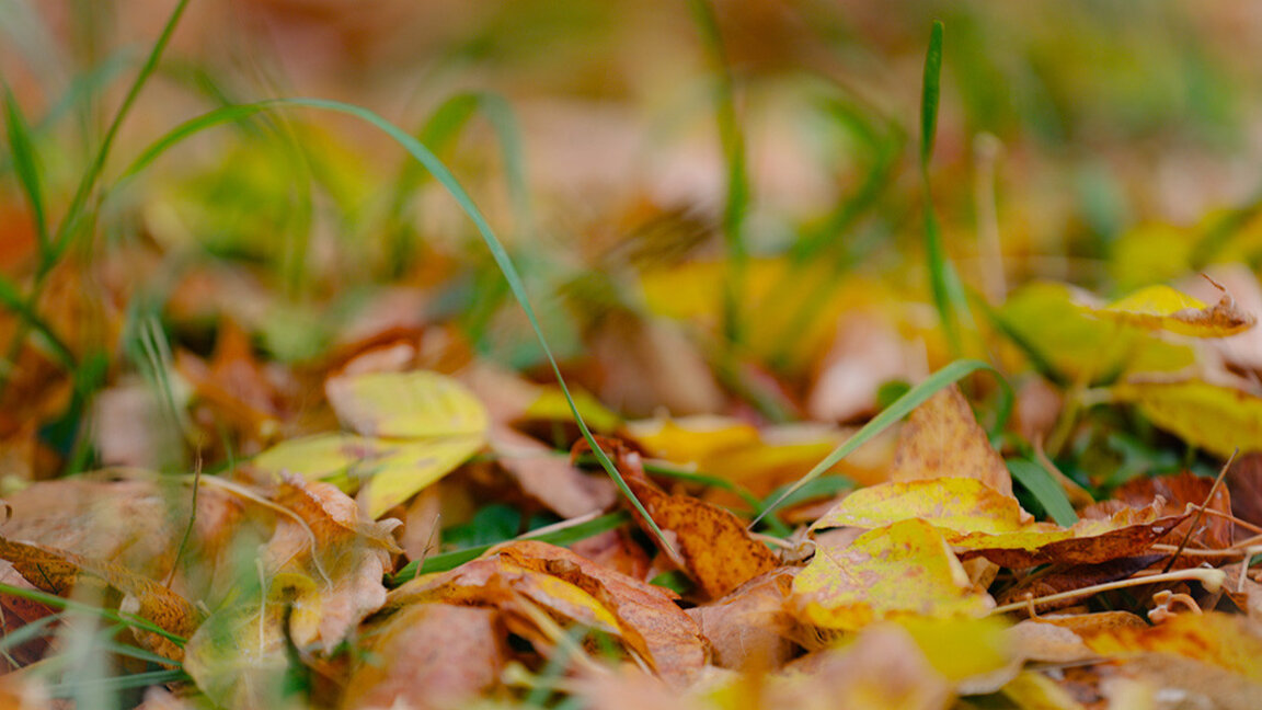 Noros cu averse în est și în munți