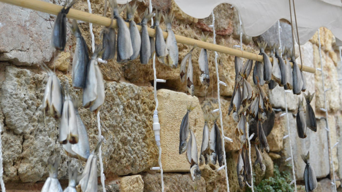 Festivali i Peshkut të Kripur – tradita ...