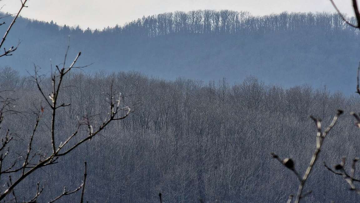„Сюжети от деня“ с Елизабет Александрова...