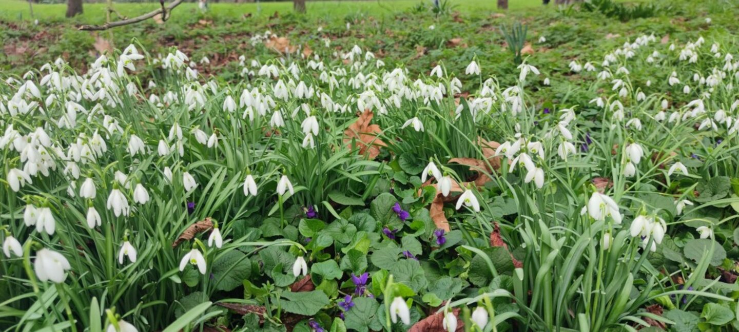 Wetteraussichten für Mittwoch, den 5. März