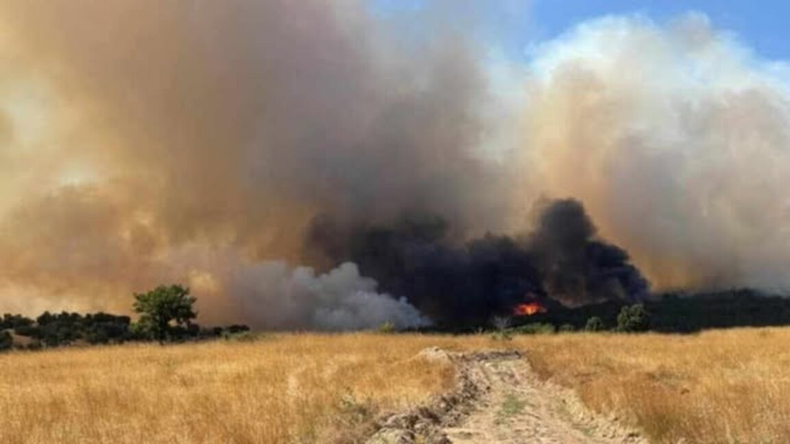 Силният вятър разпали пожари в Пазарджик и край хисарско село