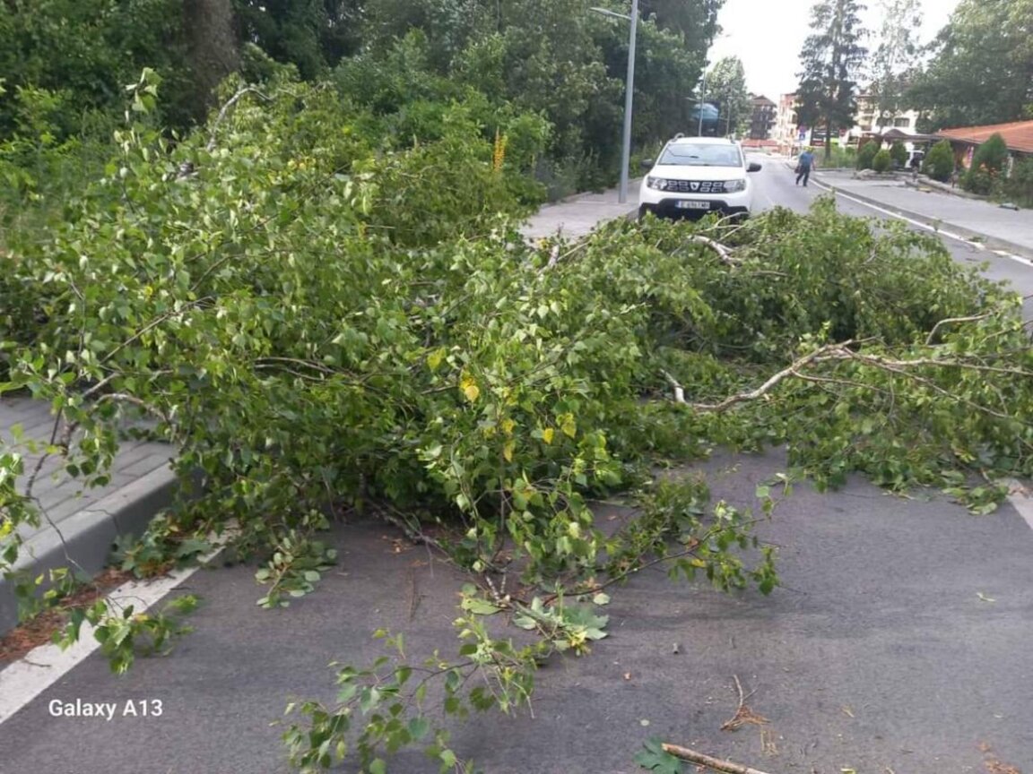 Umgestürzte Bäume und behinderter Verkehr nach Unwetter in Sofia und Bansko
