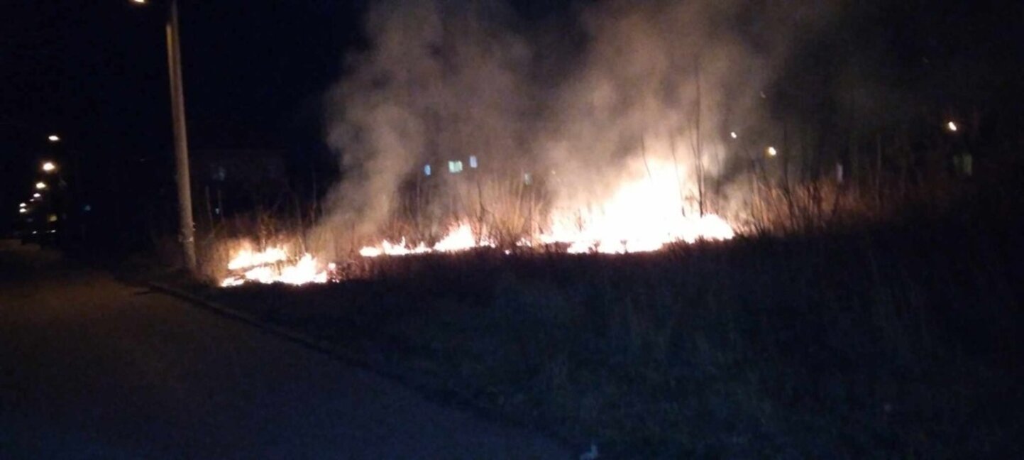 Снимката е илюстративна