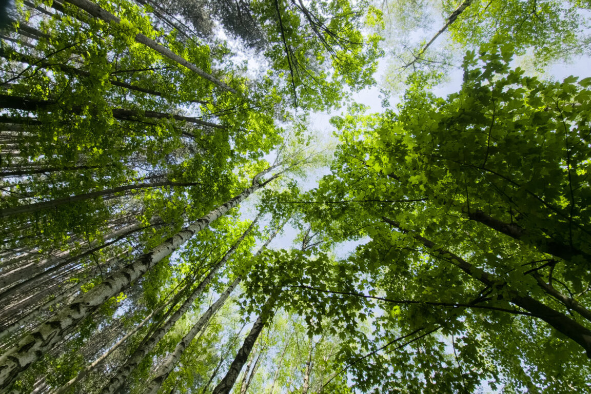 Météo : Temps frais et arrosé…