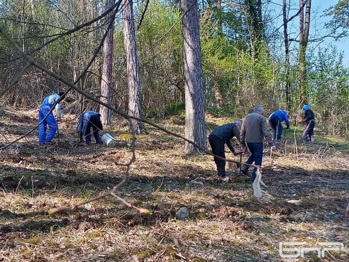 Започна залесяване на парк „Хисарлъка” над Кюстендил
