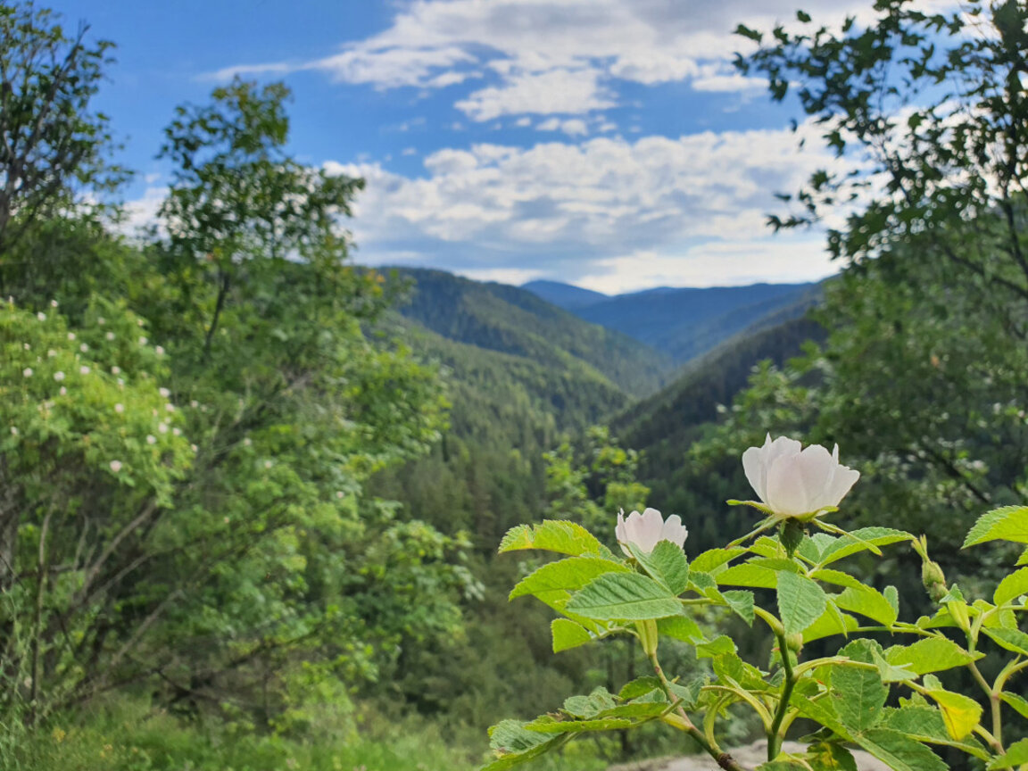 Hot weather with precipitation in some places