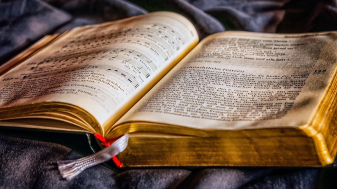 Какво означава да "осиновиш" книга?