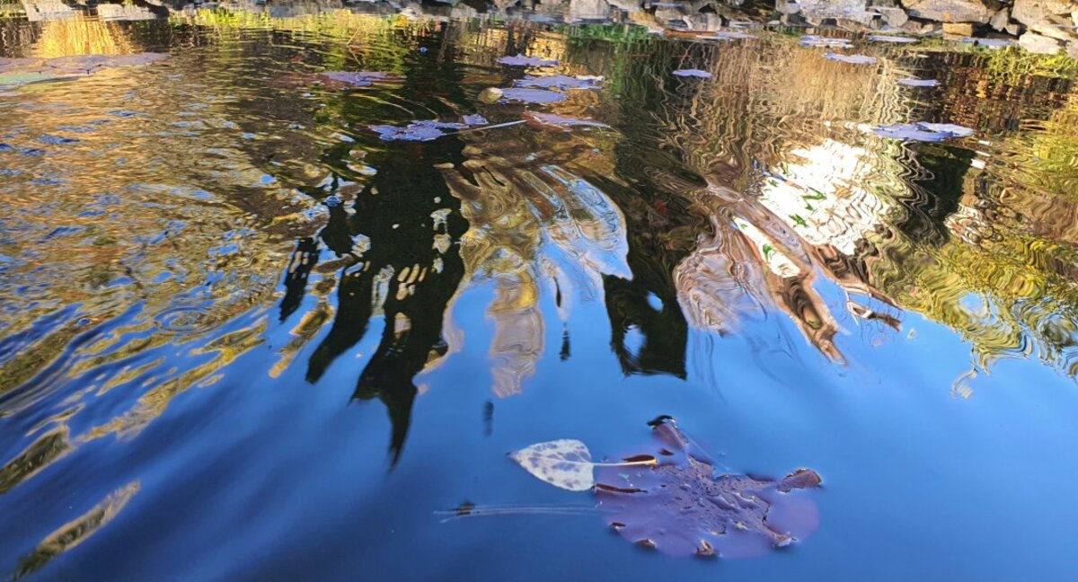 Warm and rainy across much of Bugaria