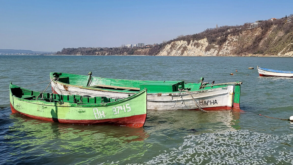 Deniz enerjisi mavi ekonominin diğer sektörlerine zarar vermemeli