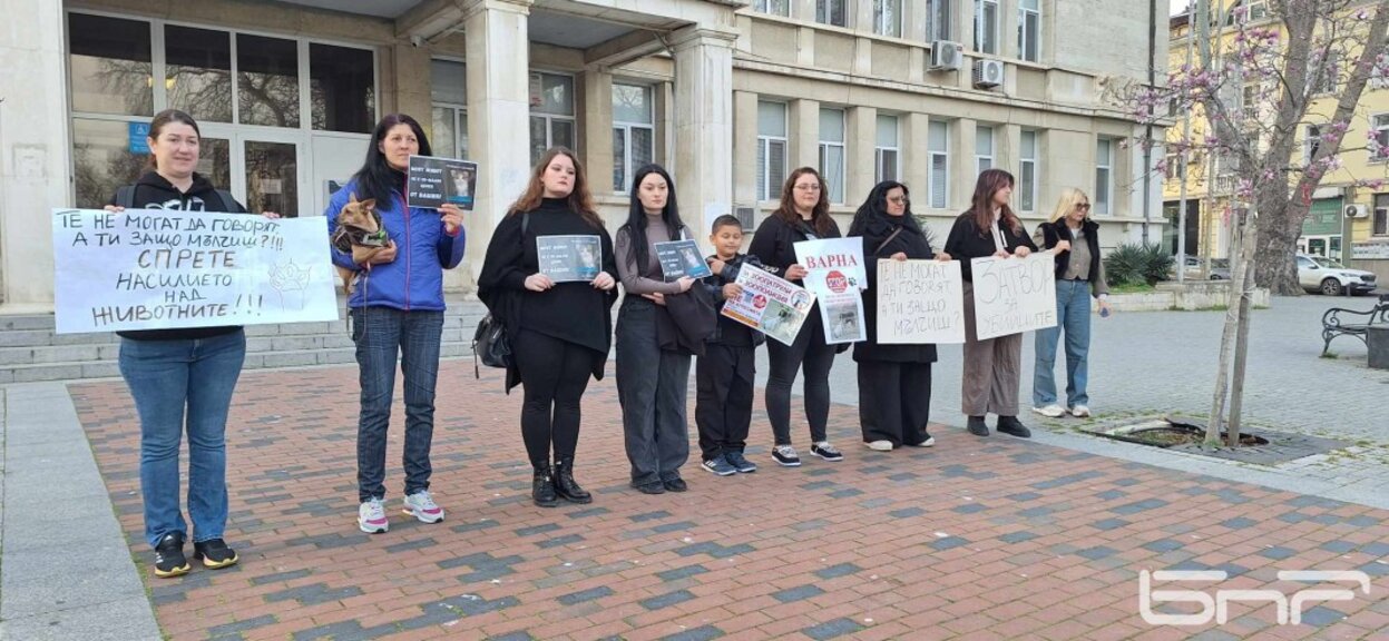 Във Варна над 500 души на протест срещу зверствата над животни и искане за строги наказания за насилниците